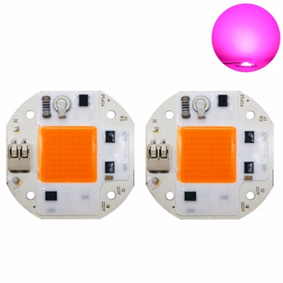 2 Stück 30W Vollspektrum AC85-265V Smart IC COB LED Chip für DIY Pflanzenlampe