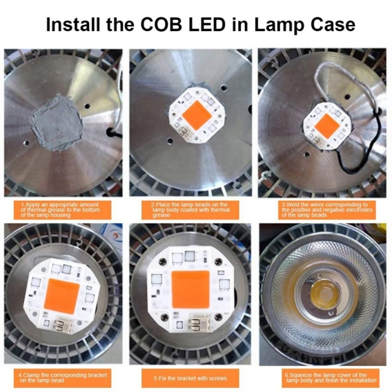 2 Stück 30W Vollspektrum AC85-265V Smart IC COB LED Chip für DIY Pflanzenlampe