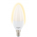 SCHWAIGER HAL600 - LED Leuchtmittel (E14) als dimmbares Wohnlicht, Smart Home - Home4You