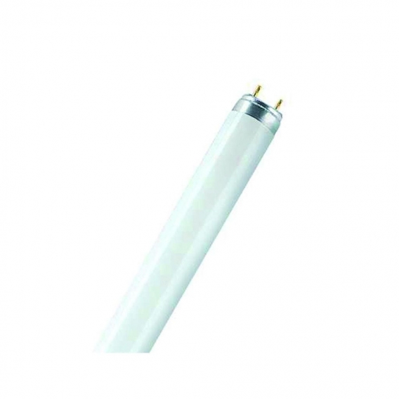 Osram Plus Leuchtstoffröhre T8, 18W, 880  SKYWHITE