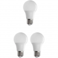 EXPERT LINE WARM WHITE LED-BIRNE Standard - Set mit 3/12 W. 1050 lm. E27. A60.