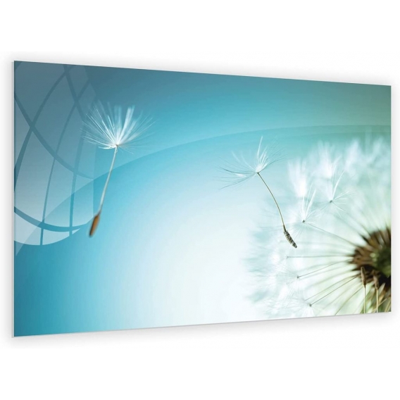 Glasbild Glastafel Magnettafel PUSTEBLUME LÖWENZAHN BLUME Memoboard Wandtafel 60x40cm