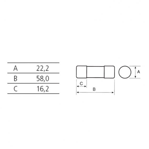 Zylindrische Sicherung Italweber 22 x 58 mm CH22 gG 100A 500V 1441099