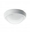 Wiva LED Wli Bulkhead-R 14W 4000K natürliches Licht IP65 51300012