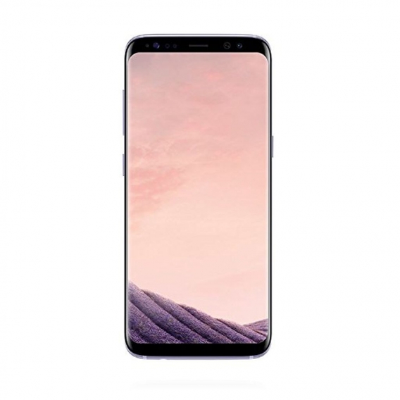 Samsung Galaxy S8 Farbe:Orchid Grey, Speicher:64 GB