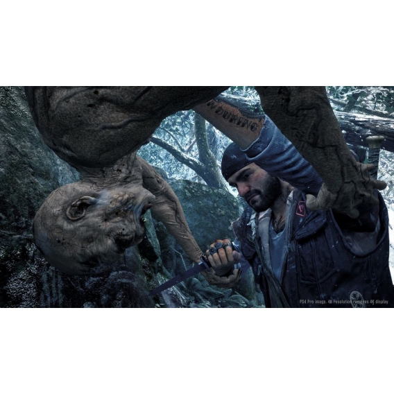 Days Gone [PS4]