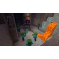 Minecraft [PS3]