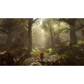 Ghost of a Tale PS-4