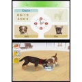 Nintendo Nintendogs: Labrador retriever - Action-/Adventure-Spiel Retail - Nintendo DS