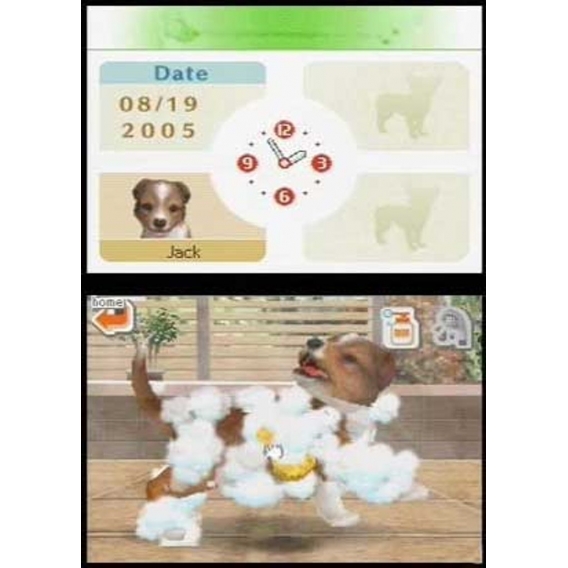 Nintendo Nintendogs: Labrador retriever - Action-/Adventure-Spiel Retail - Nintendo DS