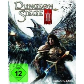 More about Dungeon Siege 3