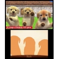 Nintendo nintendogs + cats: Toy Poodle & New Friends