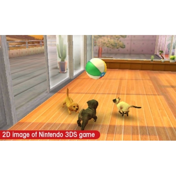 Nintendo nintendogs + cats: Toy Poodle & New Friends