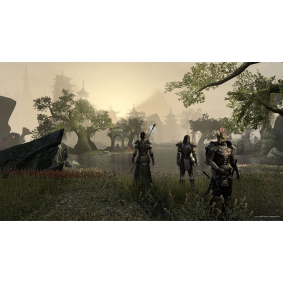 The Elder Scrolls Online: Tamriel Unlimited - Import (AT)  P