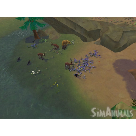 Simanimals