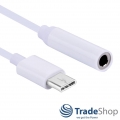 Hochwertiger Audio Adapter USB-C auf 3,5mm Klinkenanschluss AUX für viele Smartphones ohne eigenen Kopfhörer-Eingang / 10cm lang