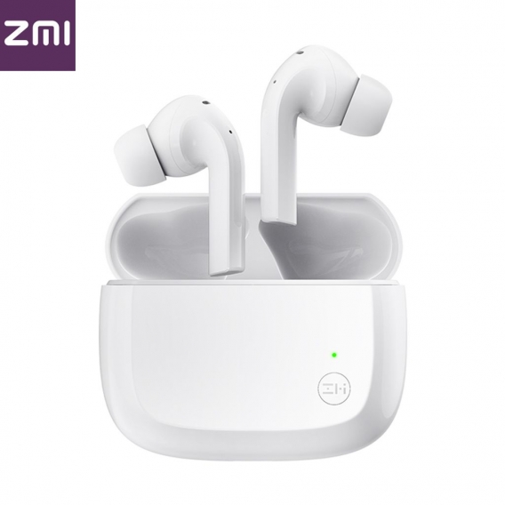 ZMI PurPods TWS BT5.2 Drahtlose Ohrhoerer In-Ear-Ohrhoerer Dual Mic / Rauschunterdrueckung / IPX4 wasserdicht / USB-C-Schnittste