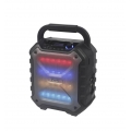 Roadstar Management PS06BT Tragbarer Lautsprecher 160 W Mono portable speaker Schwarz - Lautsprecher Roadstar Management