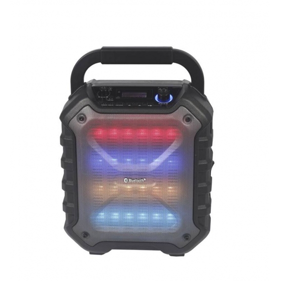 Roadstar Management PS06BT Tragbarer Lautsprecher 160 W Mono portable speaker Schwarz - Lautsprecher Roadstar Management