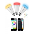 MIPOW Playbulb Rainbow Vit RGB BT 600lumen 10W E27